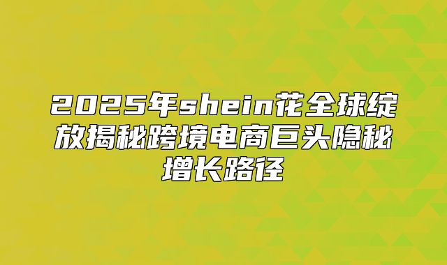2025年shein花全球绽放揭秘跨境电商巨头隐秘增长路径