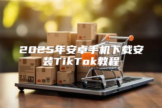 2025年安卓手机下载安装TikTok教程