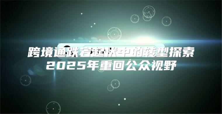 跨境通跌宕起伏中的转型探索2025年重回公众视野