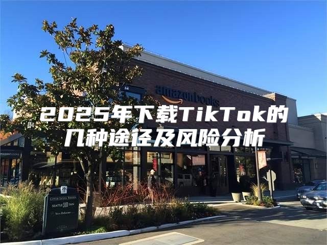 2025年下载TikTok的几种途径及风险分析