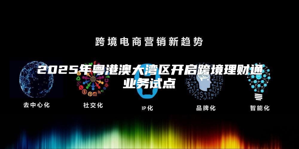 2025年粤港澳大湾区开启跨境理财通业务试点