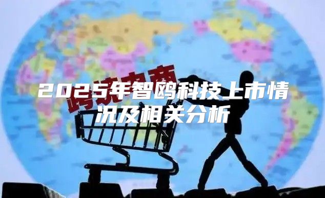 2025年智鸥科技上市情况及相关分析