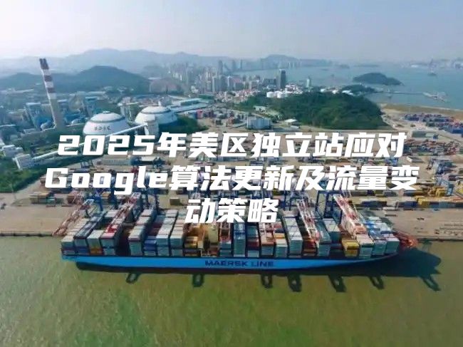 2025年美区独立站应对Google算法更新及流量变动策略