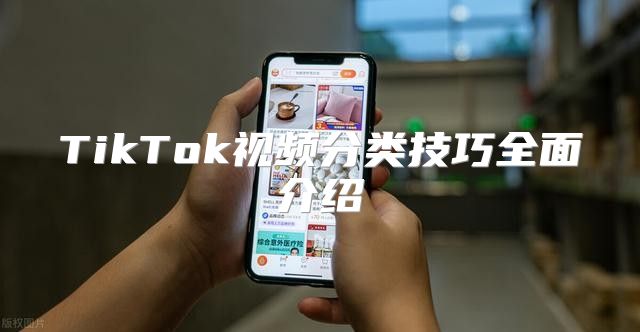 TikTok视频分类技巧全面介绍