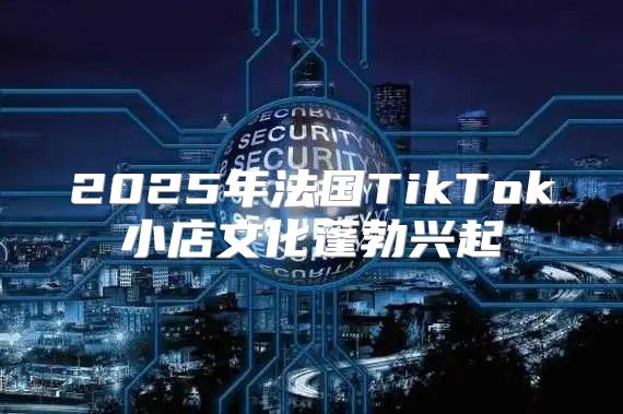 2025年法国TikTok小店文化蓬勃兴起