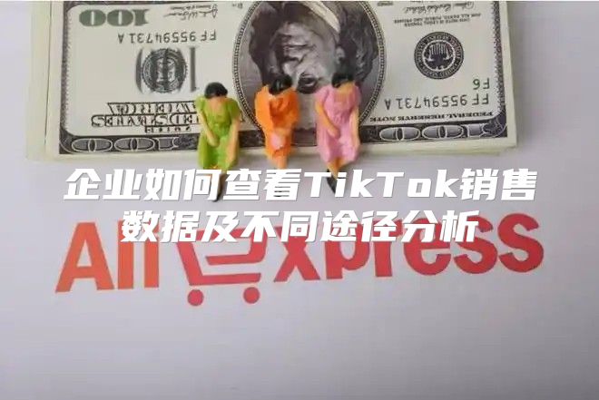 企业如何查看TikTok销售数据及不同途径分析