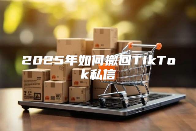 2025年如何撤回TikTok私信