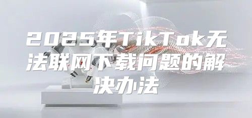 2025年TikTok无法联网下载问题的解决办法
