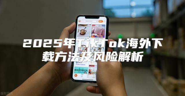 2025年TikTok海外下载方法及风险解析