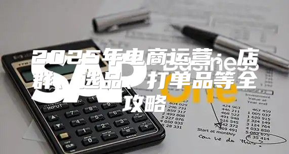 2025年电商运营：店群、选品、打单品等全攻略