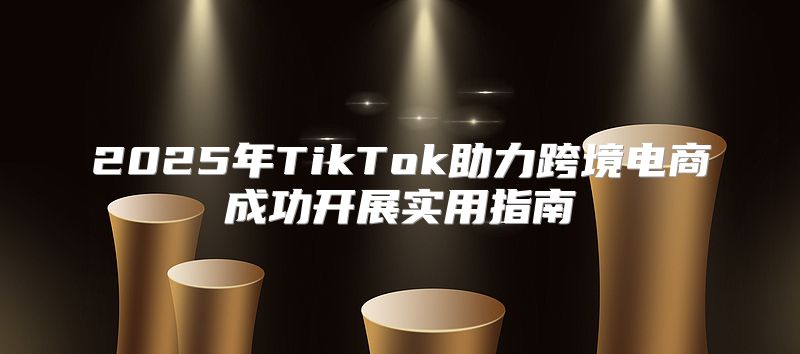 2025年TikTok助力跨境电商成功开展实用指南
