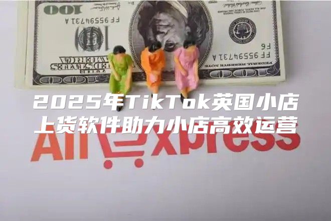 2025年TikTok英国小店上货软件助力小店高效运营
