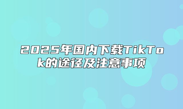 2025年国内下载TikTok的途径及注意事项