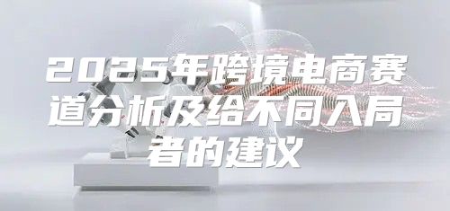 2025年跨境电商赛道分析及给不同入局者的建议