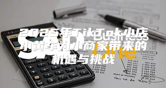 2025年TikTok小店小黄车为小商家带来的机遇与挑战