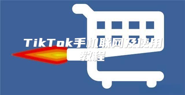 TikTok手机联网及使用教程