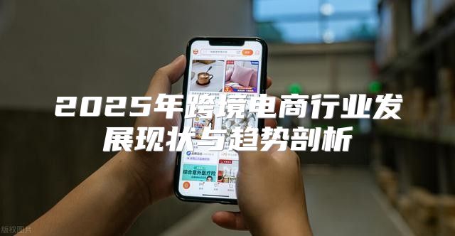 2025年跨境电商行业发展现状与趋势剖析