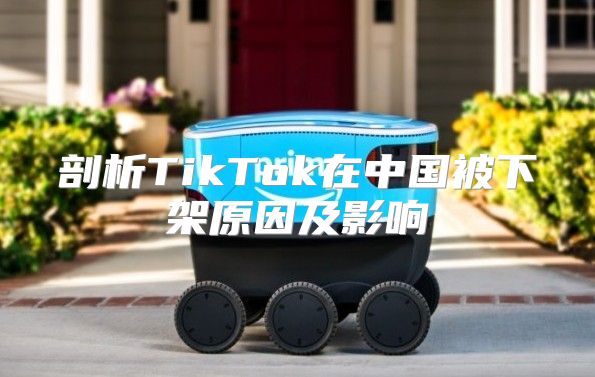 剖析TikTok在中国被下架原因及影响
