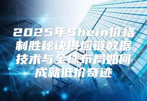 2025年Shein价格制胜秘诀供应链数据技术与全球布局如何成就低价奇迹