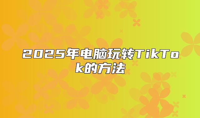 2025年电脑玩转TikTok的方法