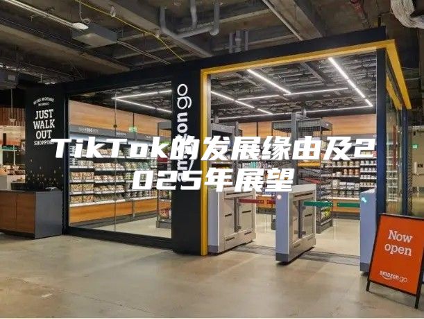 TikTok的发展缘由及2025年展望