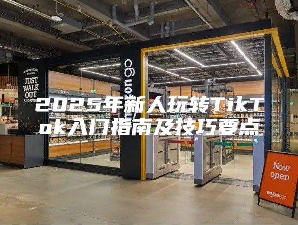 2025年新人玩转TikTok入门指南及技巧要点