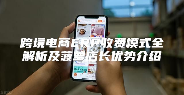 跨境电商ERP收费模式全解析及菠萝店长优势介绍