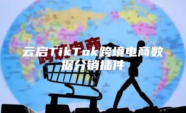 云启TikTok跨境电商数据分销插件