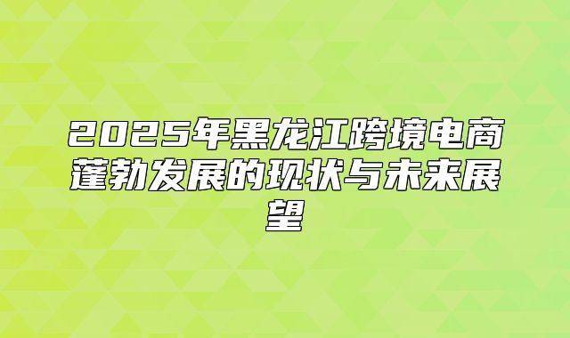 2025年黑龙江跨境电商蓬勃发展的现状与未来展望