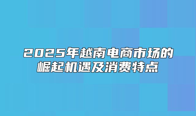 2025年越南电商市场的崛起机遇及消费特点