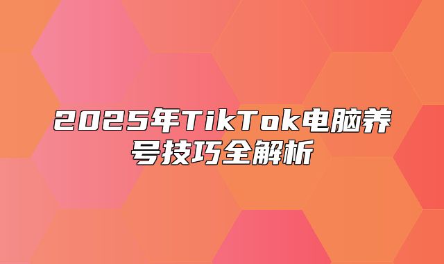 2025年TikTok电脑养号技巧全解析