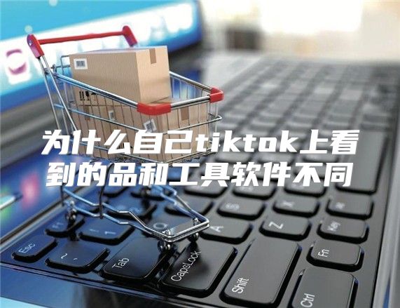 为什么自己tiktok上看到的品和工具软件不同