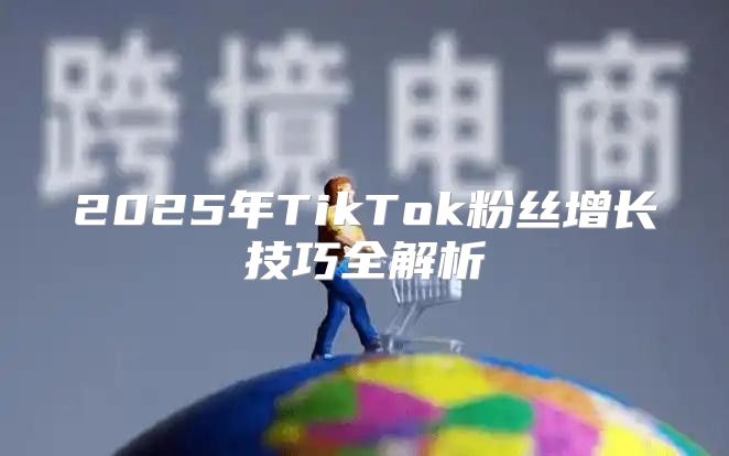 2025年TikTok粉丝增长技巧全解析