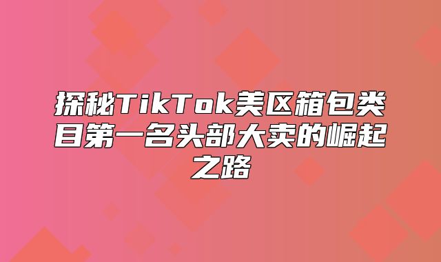 探秘TikTok美区箱包类目第一名头部大卖的崛起之路