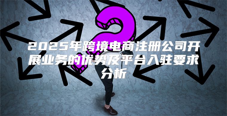 2025年跨境电商注册公司开展业务的优势及平台入驻要求分析