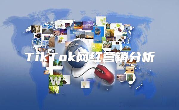 TikTok网红营销分析