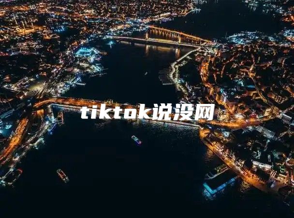 tiktok说没网