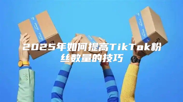 2025年如何提高TikTok粉丝数量的技巧