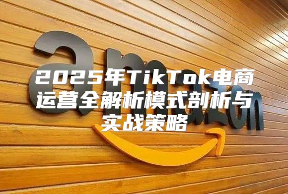 2025年TikTok电商运营全解析模式剖析与实战策略
