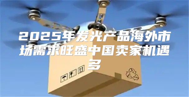 2025年发光产品海外市场需求旺盛中国卖家机遇多