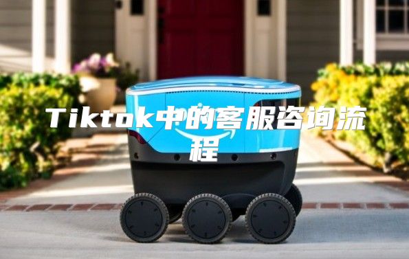 Tiktok中的客服咨询流程