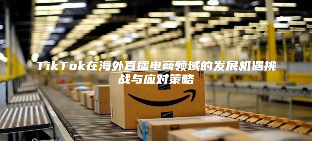 TikTok在海外直播电商领域的发展机遇挑战与应对策略