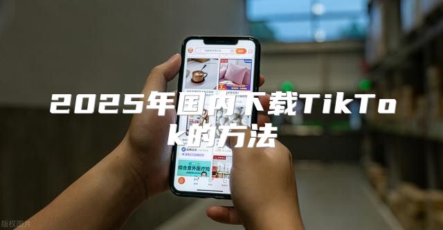 2025年国内下载TikTok的方法