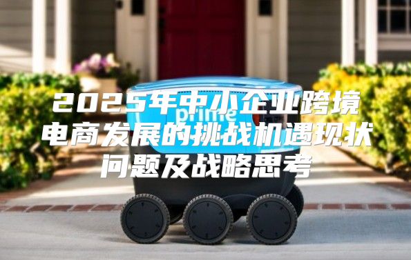 2025年中小企业跨境电商发展的挑战机遇现状问题及战略思考