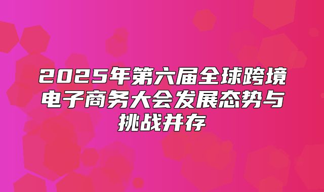 2025年第六届全球跨境电子商务大会发展态势与挑战并存