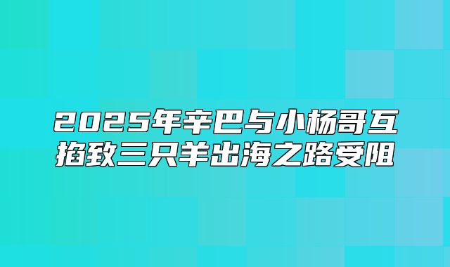 2025年辛巴与小杨哥互掐致三只羊出海之路受阻