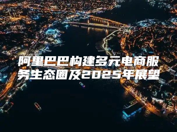 阿里巴巴构建多元电商服务生态圈及2025年展望
