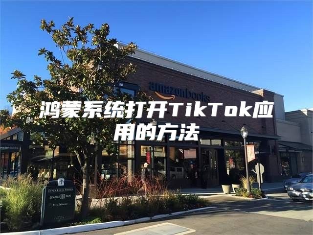 鸿蒙系统打开TikTok应用的方法