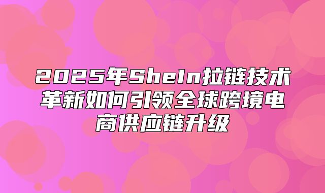 2025年SheIn拉链技术革新如何引领全球跨境电商供应链升级