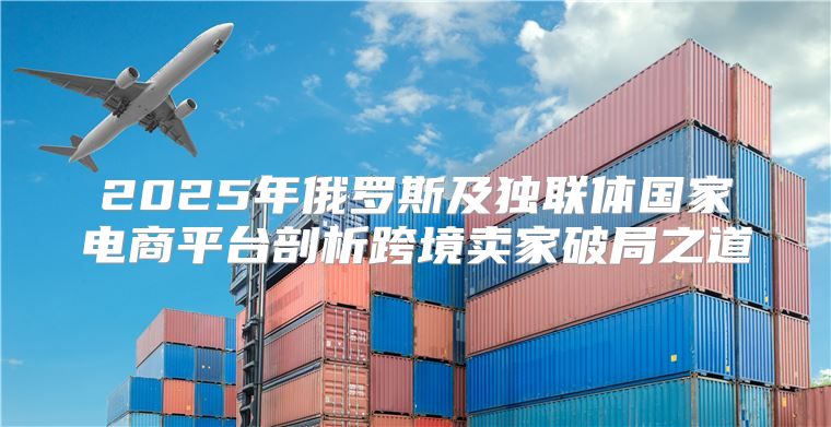 2025年俄罗斯及独联体国家电商平台剖析跨境卖家破局之道